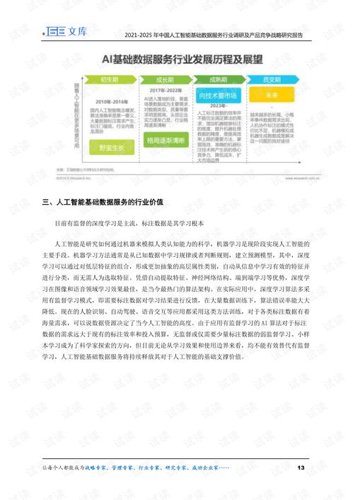 人工智能基礎數(shù)據(jù)服務與行業(yè)應用系統(tǒng)集成 2021-2025年調研與競爭戰(zhàn)略分析